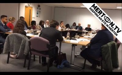 Children and Young People Overview and Scrutiny Panel 13 February 2019