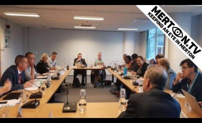 South West London and Surrey Joint Health Overview and Scrutiny Committee 30 July 2019