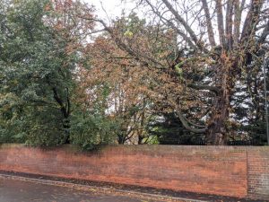 Mitcham Bridge Wall